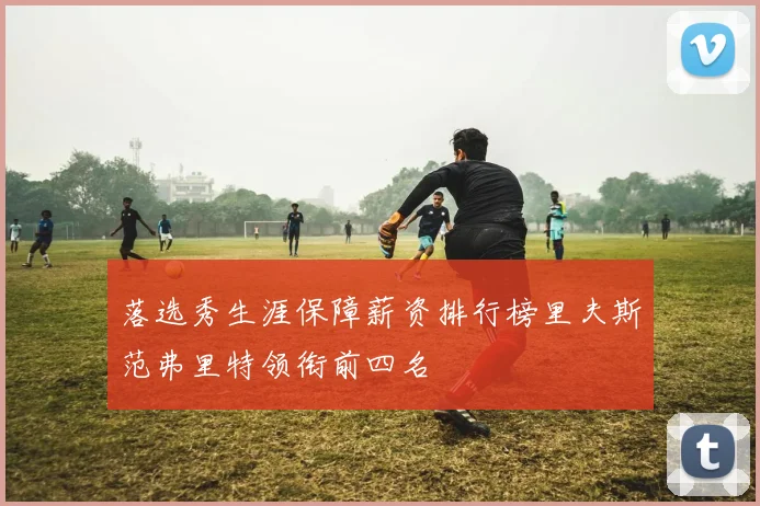 落选秀生涯保障薪资排行榜里夫斯范弗里特领衔前四名